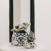 Lalita Mama Turtle Planter