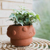 Rakshana Mushroom Planter