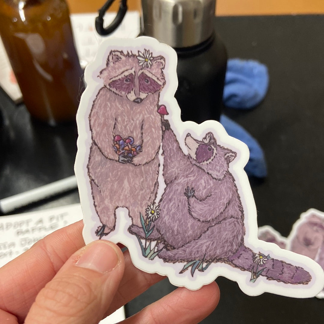 Raccoon Sticker