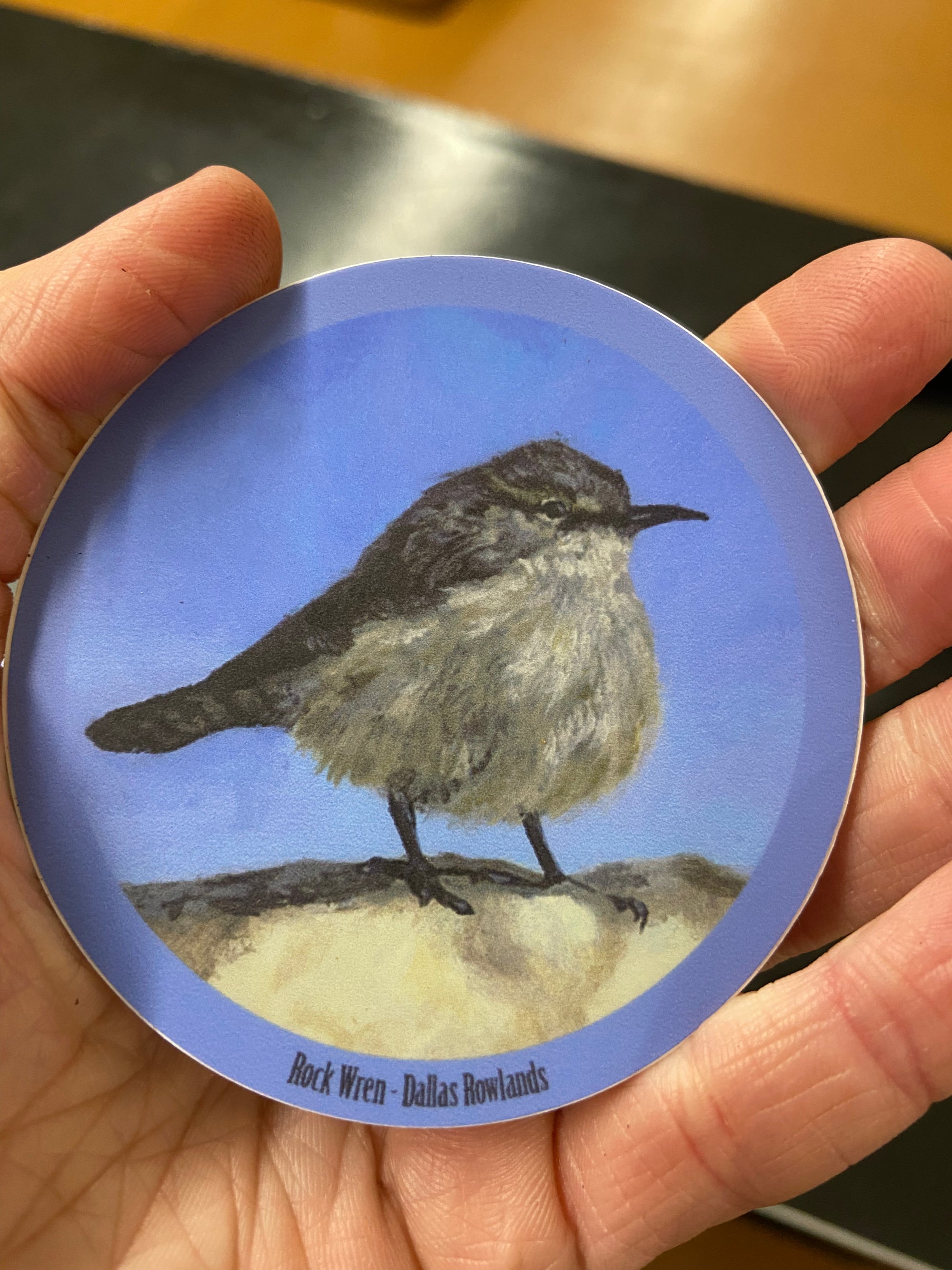Rock Wren Sticker